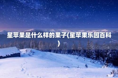 星苹果是什么样的果子(星苹果乐园百科)