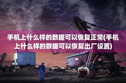 手机上什么样的数据可以恢复正常(手机上什么样的数据可以恢复出厂设置)