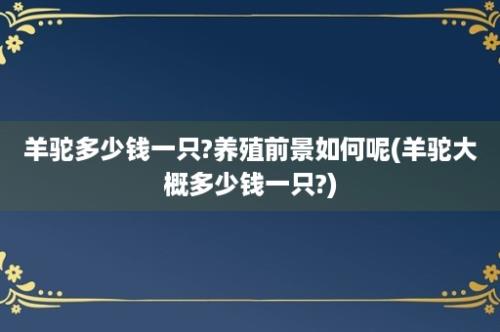 羊驼多少钱一只?养殖前景如何呢(羊驼大概多少钱一只?)