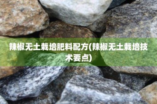 辣椒无土栽培肥料配方(辣椒无土栽培技术要点)