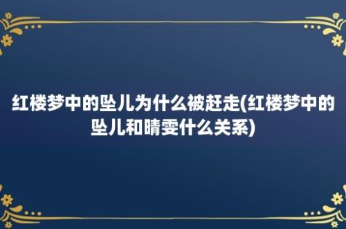 红楼梦中的坠儿为什么被赶走(红楼梦中的坠儿和晴雯什么关系)