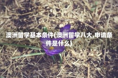 澳洲留学基本条件(澳洲留学八大,申请条件是什么)