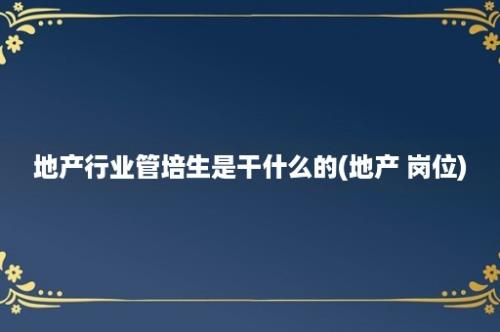 地产行业管培生是干什么的(地产 岗位)