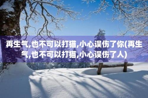 再生气,也不可以打猫,小心误伤了你(再生气,也不可以打猫,小心误伤了人)