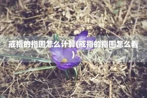 戒指的指围怎么计算(戒指的指围怎么看)