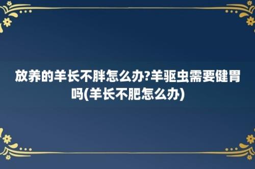 放养的羊长不胖怎么办?羊驱虫需要健胃吗(羊长不肥怎么办)