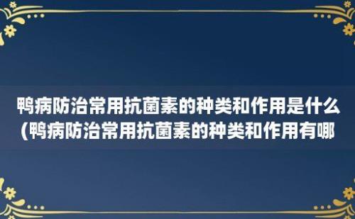 鸭病防治常用抗菌素的种类和作用是什么(鸭病防治常用抗菌素的种类和作用有哪些)