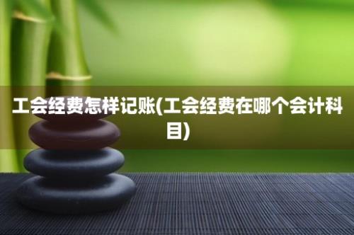 工会经费怎样记账(工会经费在哪个会计科目)