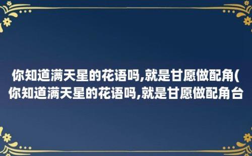 你知道满天星的花语吗,就是甘愿做配角(你知道满天星的花语吗,就是甘愿做配角台词)