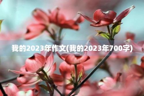 我的2023年作文(我的2023年700字)