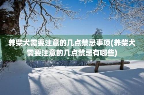 养柴犬需要注意的几点禁忌事项(养柴犬需要注意的几点禁忌有哪些)