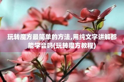 玩转魔方最简单的方法,用纯文字讲解都能学会吗(玩转魔方教程)