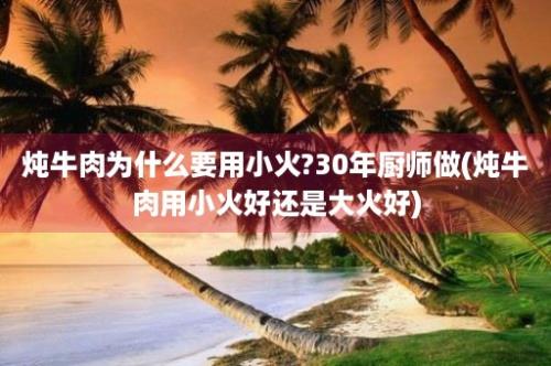 炖牛肉为什么要用小火?30年厨师做(炖牛肉用小火好还是大火好)