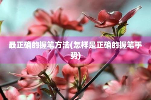 最正确的握笔方法(怎样是正确的握笔手势)