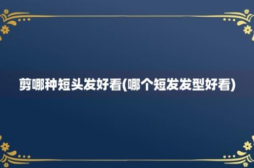 剪哪种短头发好看(哪个短发发型好看)