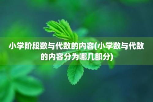 小学阶段数与代数的内容(小学数与代数的内容分为哪几部分)