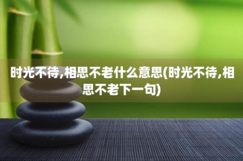 时光不待,相思不老什么意思(时光不待,相思不老下一句)