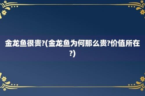 金龙鱼很贵?(金龙鱼为何那么贵?价值所在?)