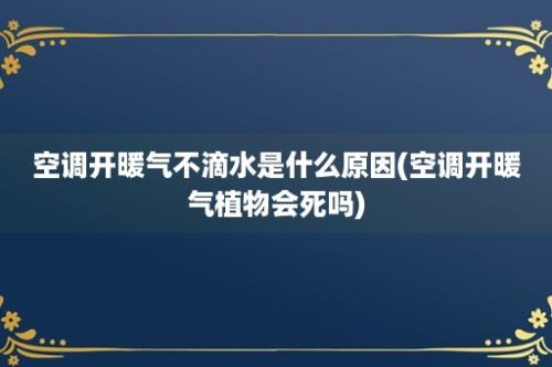 空调开暖气不滴水是什么原因(空调开暖气植物会死吗)