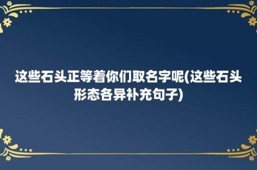 这些石头正等着你们取名字呢(这些石头形态各异补充句子)