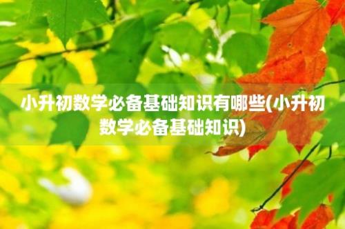 小升初数学必备基础知识有哪些(小升初数学必备基础知识)