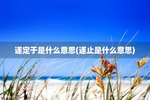 遂定于是什么意思(遂止是什么意思)