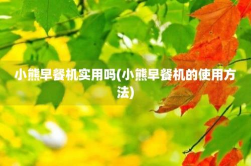 小熊早餐机实用吗(小熊早餐机的使用方法)