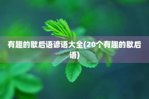 有趣的歇后语谚语大全(20个有趣的歇后语)