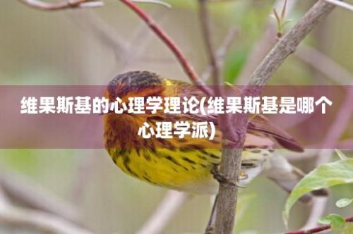 维果斯基的心理学理论(维果斯基是哪个心理学派)