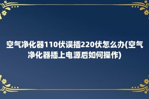 空气净化器110伏误插220伏怎么办(空气净化器插上电源后如何操作)