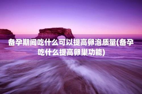 备孕期间吃什么可以提高卵泡质量(备孕吃什么提高卵巢功能)