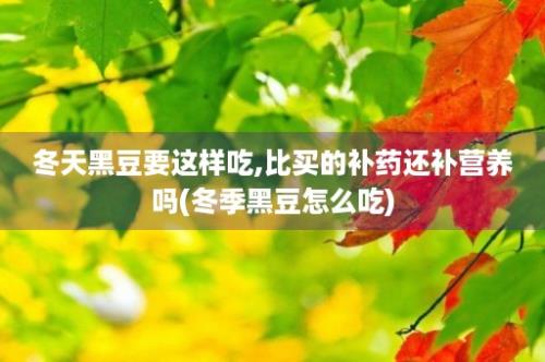 冬天黑豆要这样吃,比买的补药还补营养吗(冬季黑豆怎么吃)