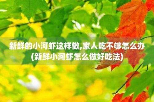 新鲜的小河虾这样做,家人吃不够怎么办(新鲜小河虾怎么做好吃法)