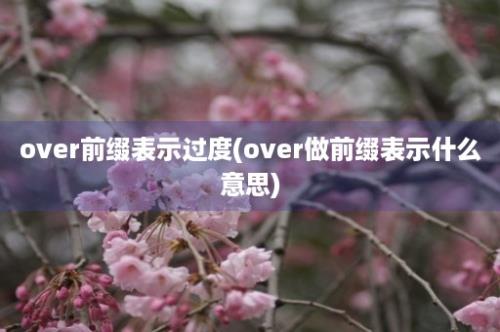 over前缀表示过度(over做前缀表示什么意思)