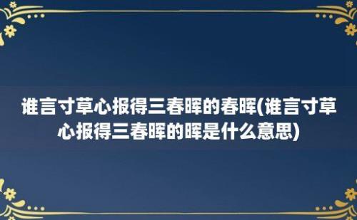 谁言寸草心报得三春晖的春晖(谁言寸草心报得三春晖的晖是什么意思)