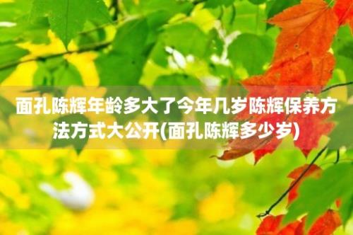 面孔陈辉年龄多大了今年几岁陈辉保养方法方式大公开(面孔陈辉多少岁)