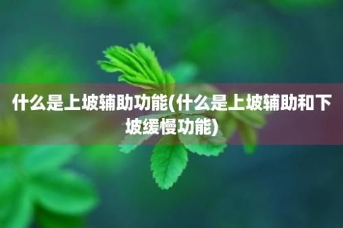 什么是上坡辅助功能(什么是上坡辅助和下坡缓慢功能)