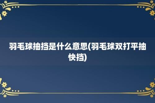 羽毛球抽挡是什么意思(羽毛球双打平抽快挡)