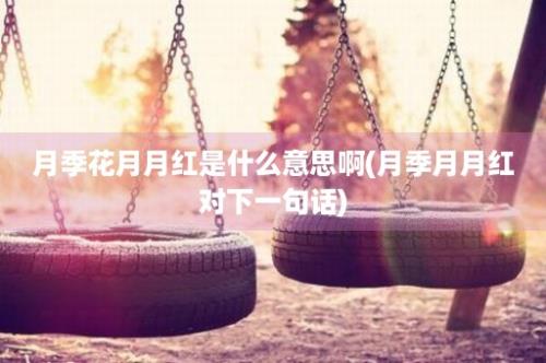 月季花月月红是什么意思啊(月季月月红对下一句话)