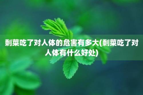 剩菜吃了对人体的危害有多大(剩菜吃了对人体有什么好处)