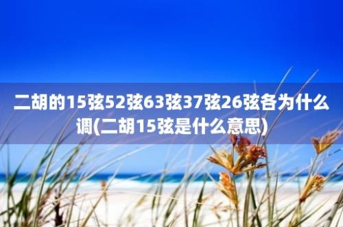 二胡的15弦52弦63弦37弦26弦各为什么调(二胡15弦是什么意思)