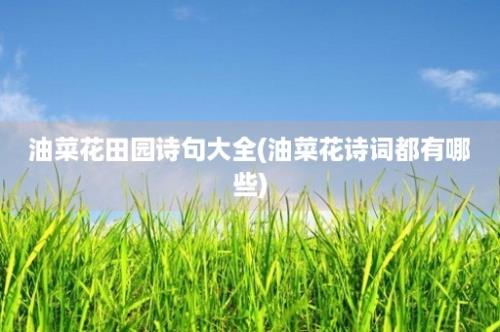 油菜花田园诗句大全(油菜花诗词都有哪些)