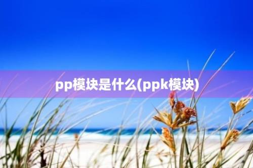 pp模块是什么(ppk模块)