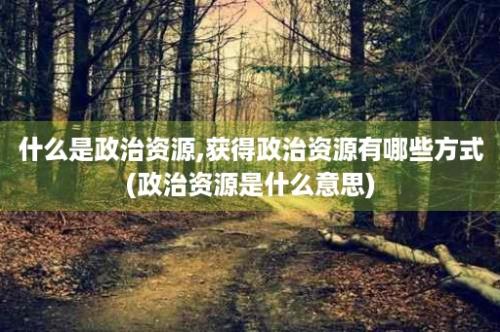 什么是政治资源,获得政治资源有哪些方式(政治资源是什么意思)