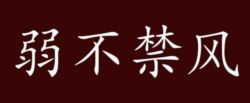 弱不禁风什么意思