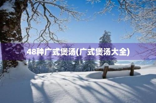 48种广式煲汤(广式煲汤大全)