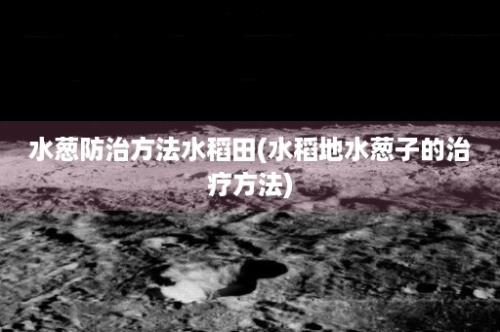 水葱防治方法水稻田(水稻地水葱子的治疗方法)