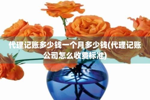 代理记账多少钱一个月多少钱(代理记账公司怎么收费标准)