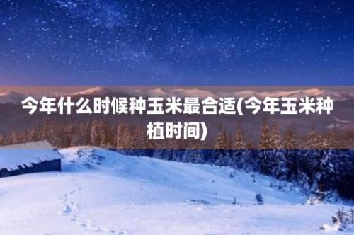 今年什么时候种玉米最合适(今年玉米种植时间)