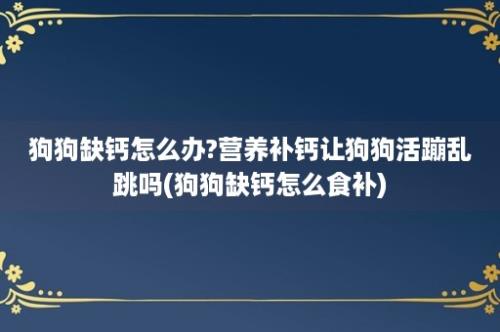 狗狗缺钙怎么办?营养补钙让狗狗活蹦乱跳吗(狗狗缺钙怎么食补)